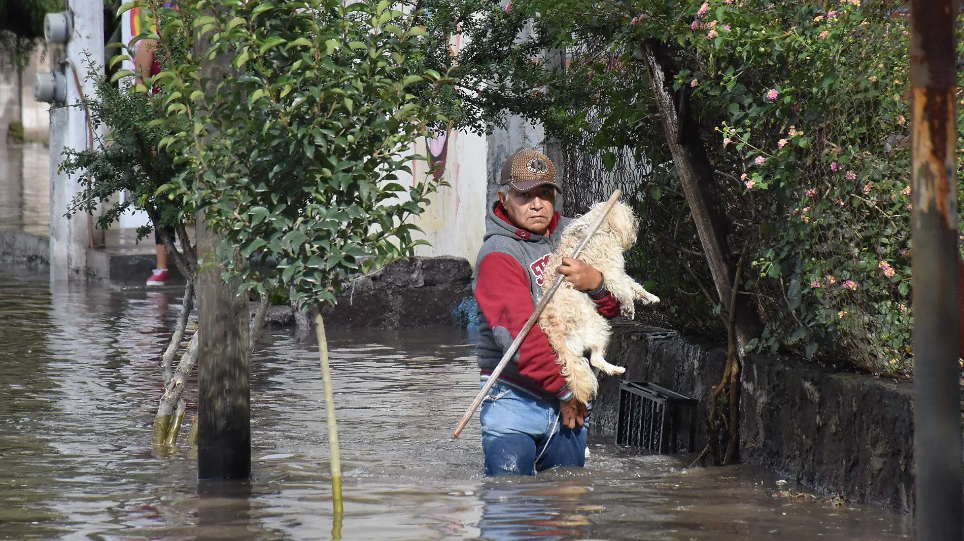 SJR Peluditos fueron rescatados